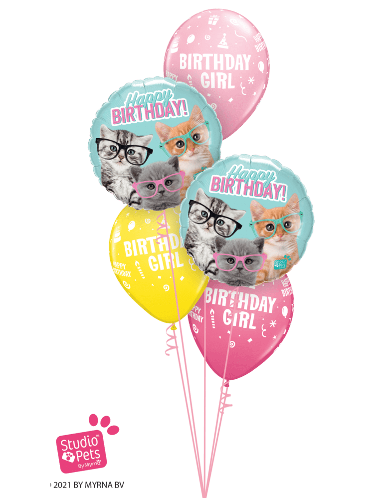 Katzen Geburtstag Dekoration Set – Banner, Ballons, Tortenaufleger Für Haustier- Oder Kinderparty