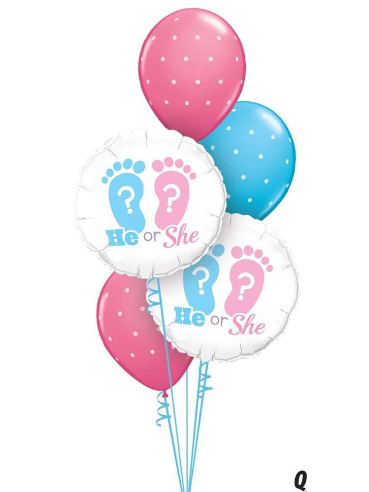 Gender Reveal Party Er oder Sie Helium Ballone Geschlecht Junge oder Mädchen fliegende Luftballone